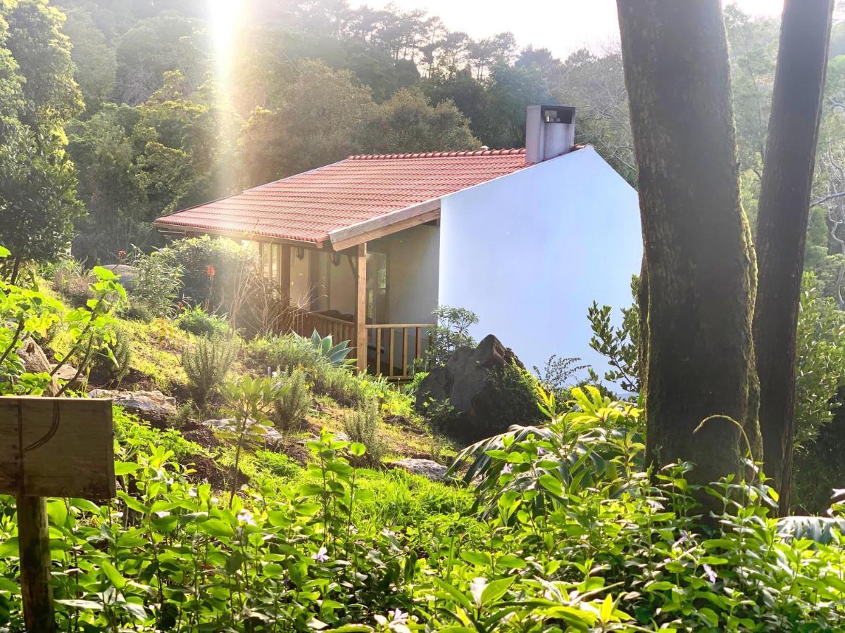 Eighteen21 Houses - Secluded Charm Cottage In Quinta Velha Sintra Kültér fotó